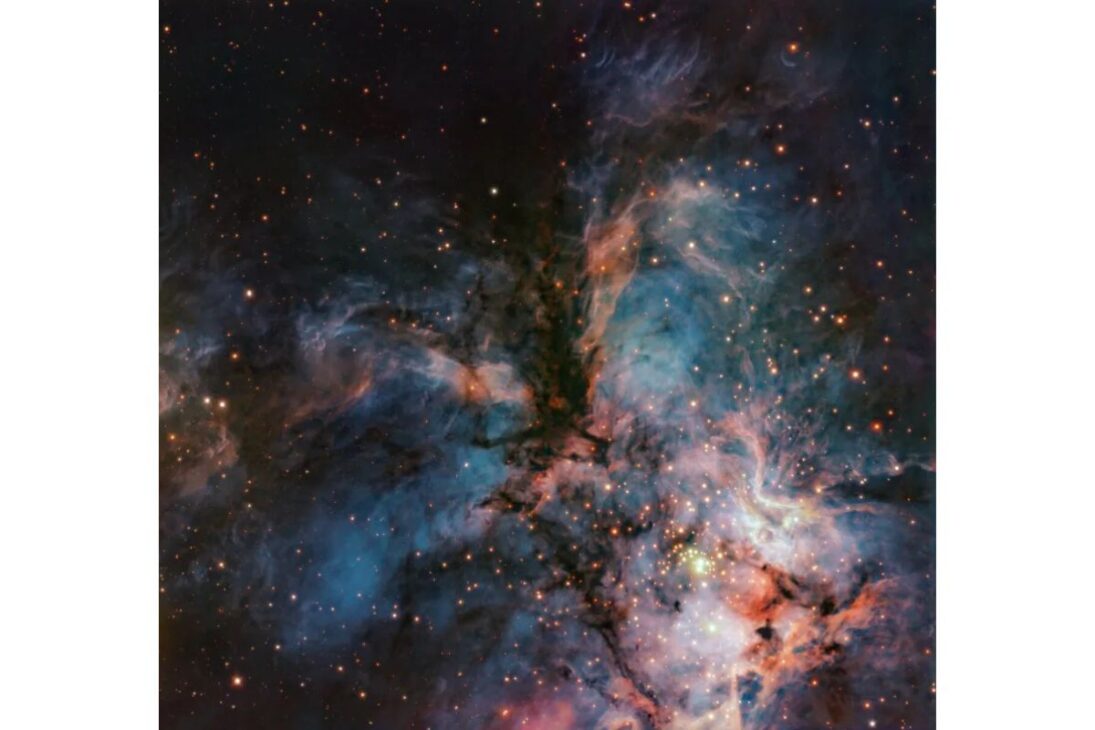 El Halcón Colosal Surge en la Nebulosa RCW 36 Mientras Enanas Marrones y Cuna Estelar Ayudan a Explicar la Imagen Cósmica.