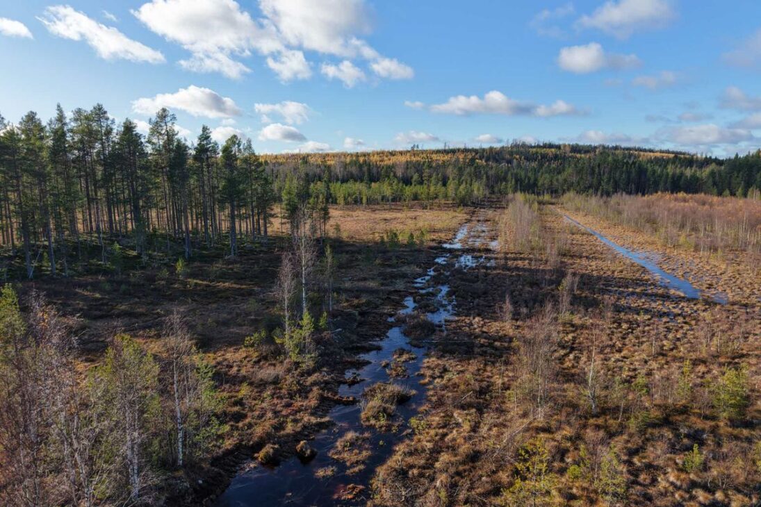 Restauración de áreas húmedas en Suecia avanza con la SCA, cierra canas, rehumedece turberas y suma 1.165 hectáreas recuperadas entre 2021 y 2025.