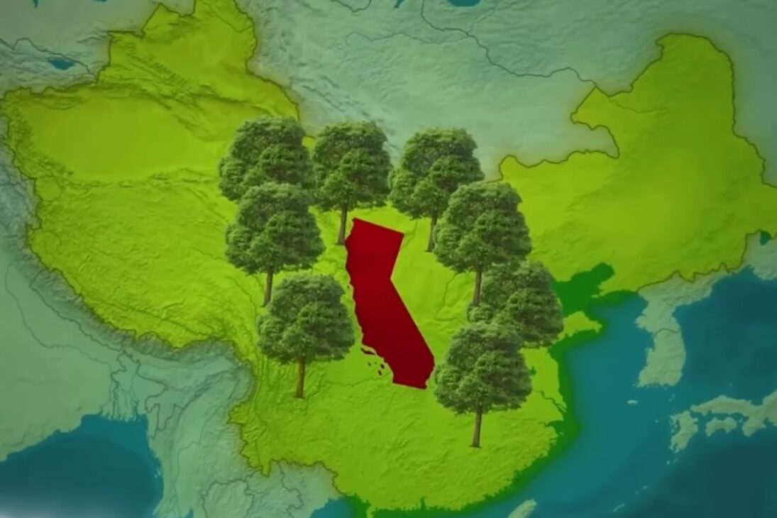 el desierto de Gobi muestra cómo China utilizó paja para frenar dunas y detener la desertificación con una técnica simple validada por satélites.