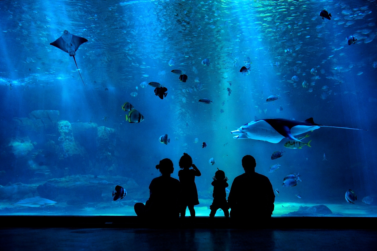 Visitantes observam peixes e arraias em grande tanque do aquário AquaFoz, em Foz do Iguaçu, que recria água do mar com sal importado.