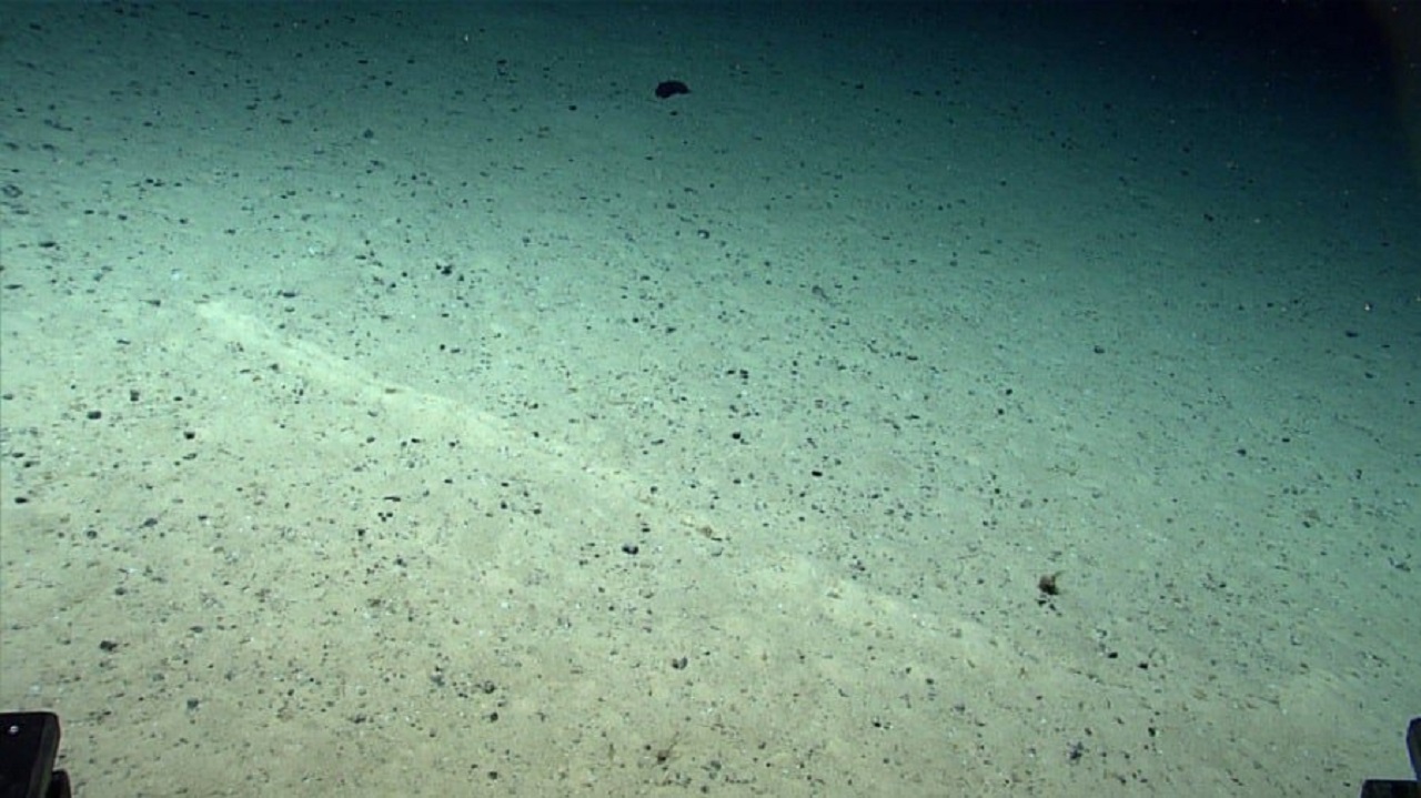 A 2.540 metros de profundidad en la Dorsal Mesoatlântica, científicos de la NOAA encontraron filas de agujeros perfectamente alineados en el fondo del océano, cada uno rodeado por pequeños montículos de sedimento, el patrón es tan preciso que parece artificial, pero hasta hoy nadie sabe qué los creó
