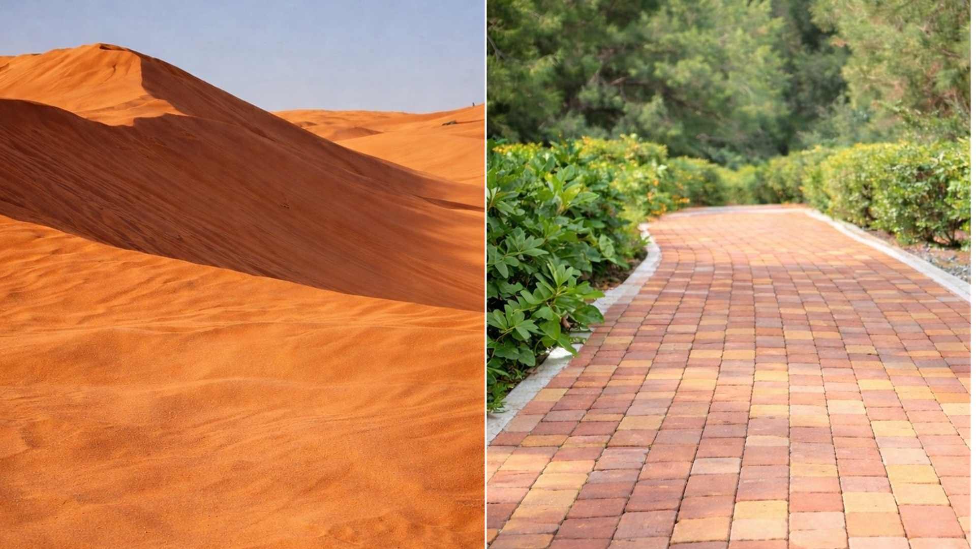 Pesquisadores criam material que transforma areia do deserto em blocos de pavimentação usando resíduos de madeira e pressão industrial.