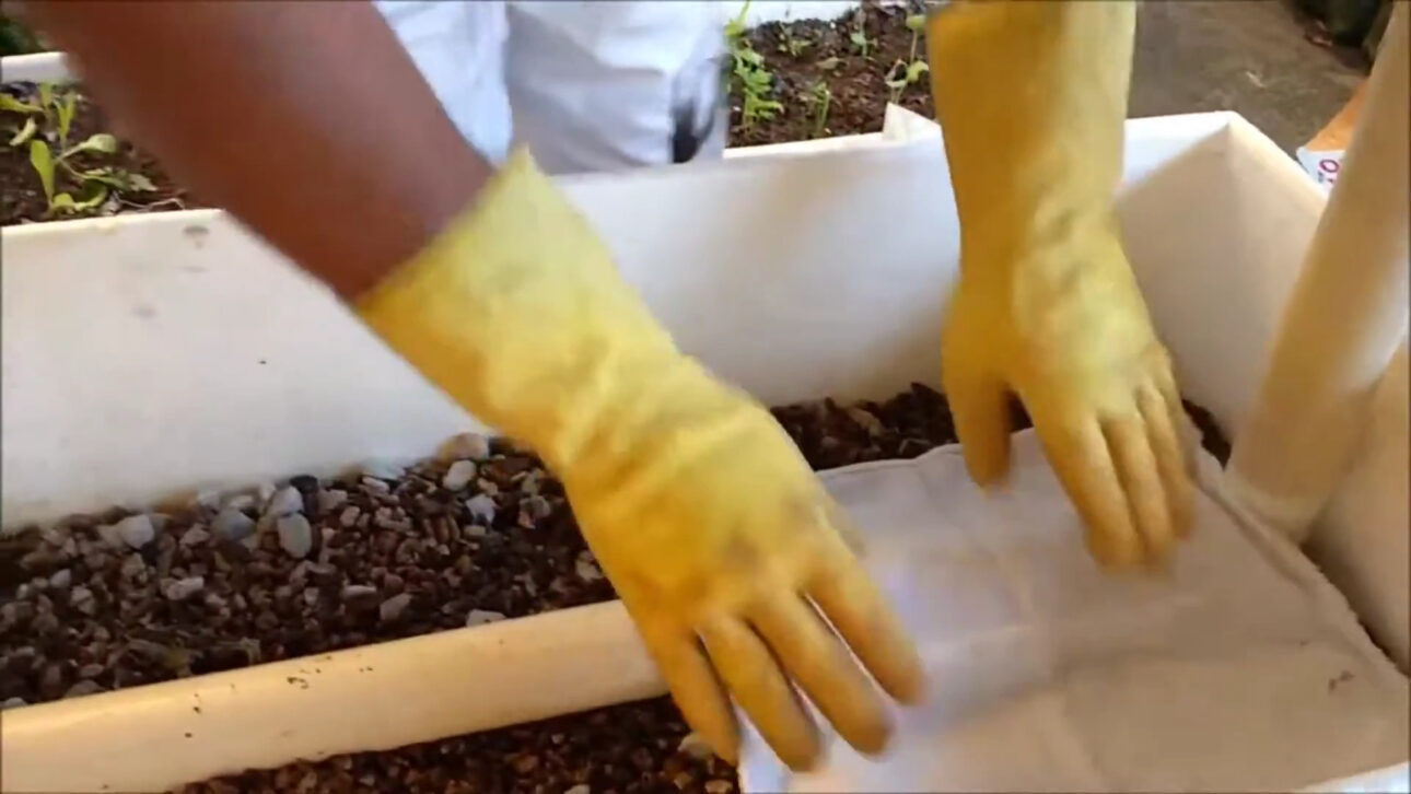 Agricultores Cortaron Cajas De Poliestireno, Forraron Con Lona Plástica, Enterraron Tubo De PVC Perforado En El Fondo Y Crearon Canteiro Autoirrigable De Bajo Costo Que Eleva La Agua Por Capilaridad Directamente A Las Raíces Y Mantiene La Huerta Humeda Por Hasta Una Semana Sin Riego