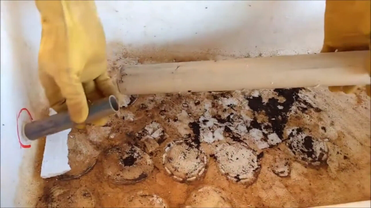 Agricultores Cortaron Cajas De Poliestireno, Forraron Con Lona Plástica, Enterraron Tubo De PVC Perforado En El Fondo Y Crearon Canteiro Autoirrigable De Bajo Costo Que Eleva La Agua Por Capilaridad Directamente A Las Raíces Y Mantiene La Huerta Humeda Por Hasta Una Semana Sin Riego