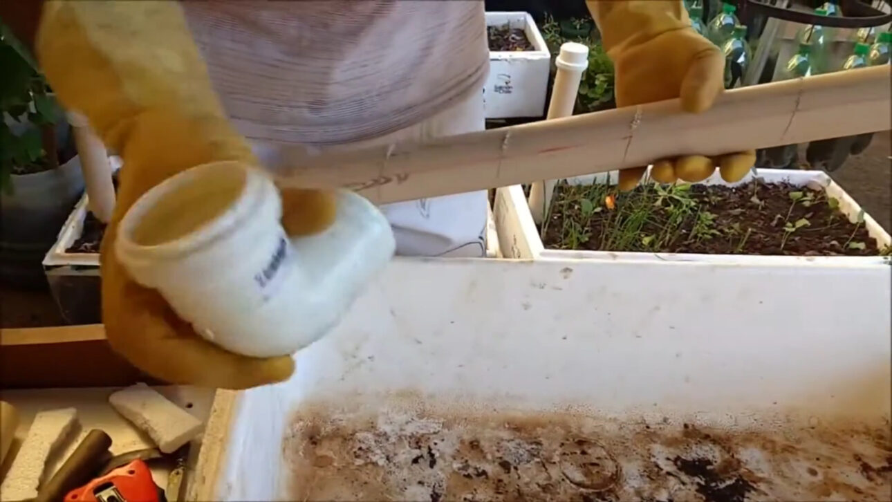 Agricultores Cortaron Cajas De Poliestireno, Forraron Con Lona Plástica, Enterraron Tubo De PVC Perforado En El Fondo Y Crearon Canteiro Autoirrigable De Bajo Costo Que Eleva La Agua Por Capilaridad Directamente A Las Raíces Y Mantiene La Huerta Humeda Por Hasta Una Semana Sin Riego